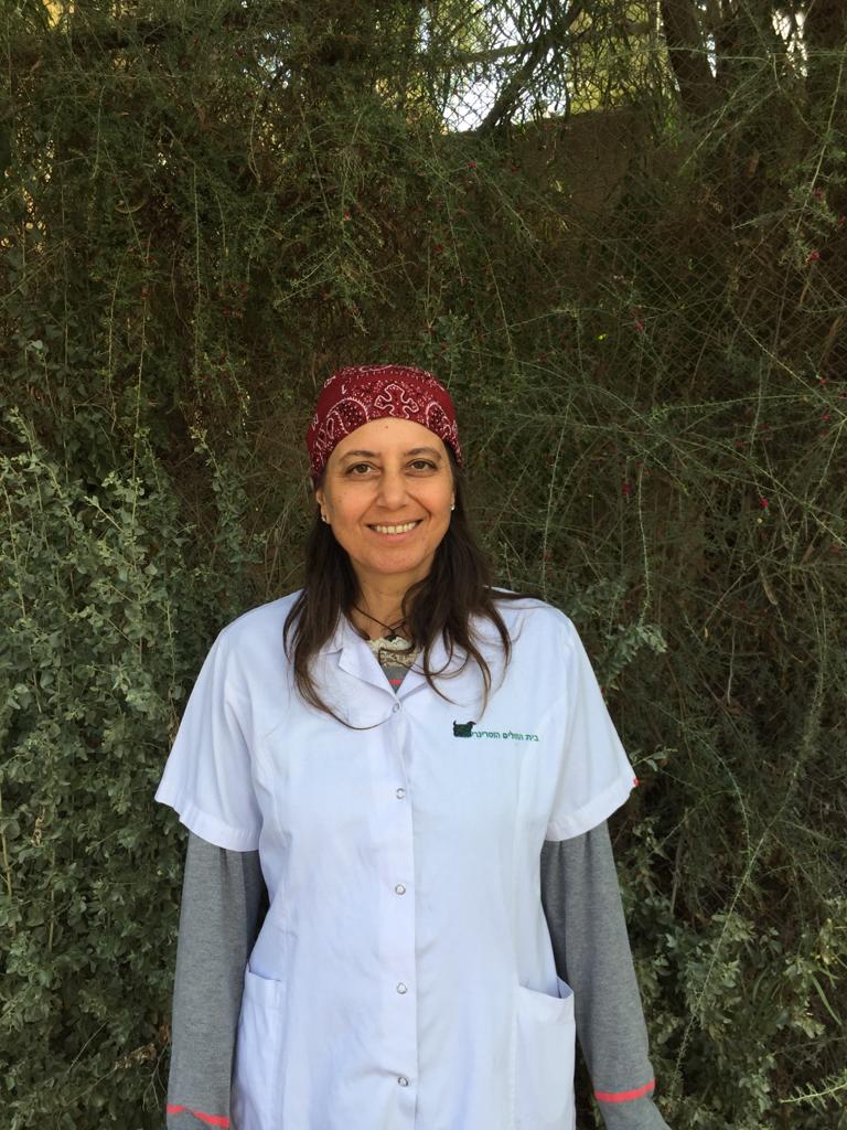 ג'ודי וטרינרית