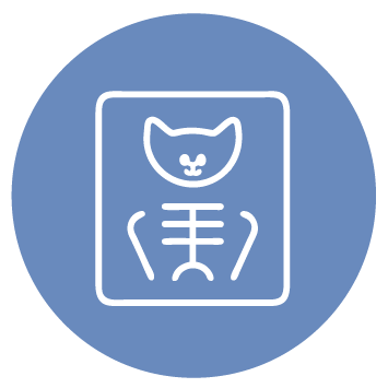 בית חולים וטרינרי בדרום - אייקון