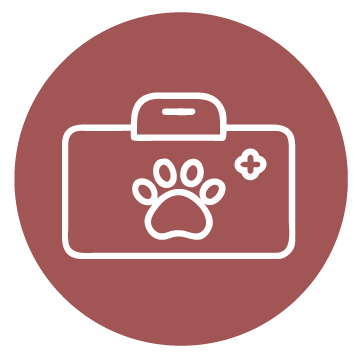 שירותים וטרינרים - אייקון