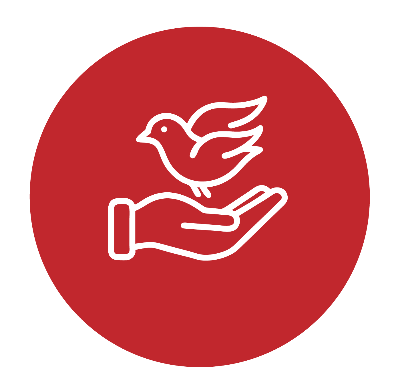 בית חולים וטרינרי בדרום - אייקון