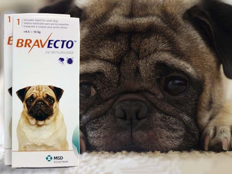 ברווקטו - הסוף לפרעושים וקרציות