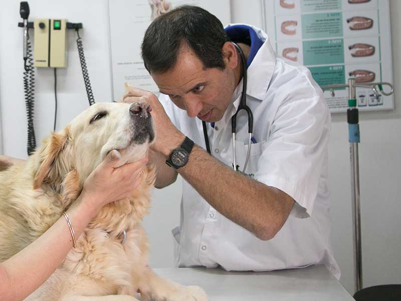 דלקת אוזן חיצונית (Otitis externa)