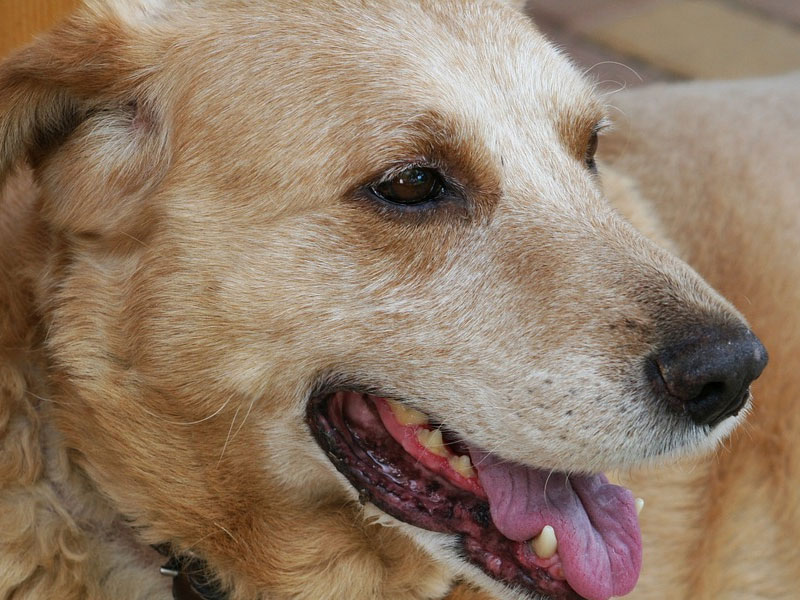 איבחון מוקדם מאריך חיים