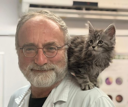 ד"ר אלי שוורצמן