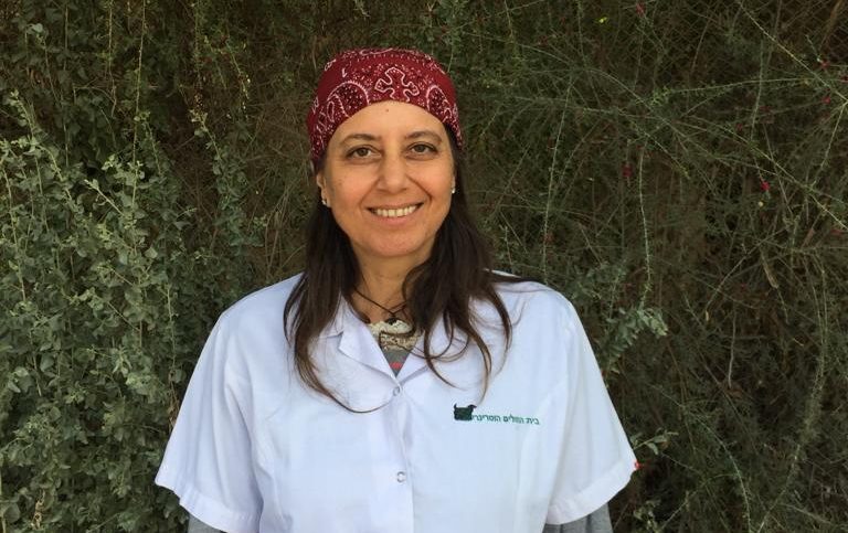 ד"ר ג'ודי ניסתור