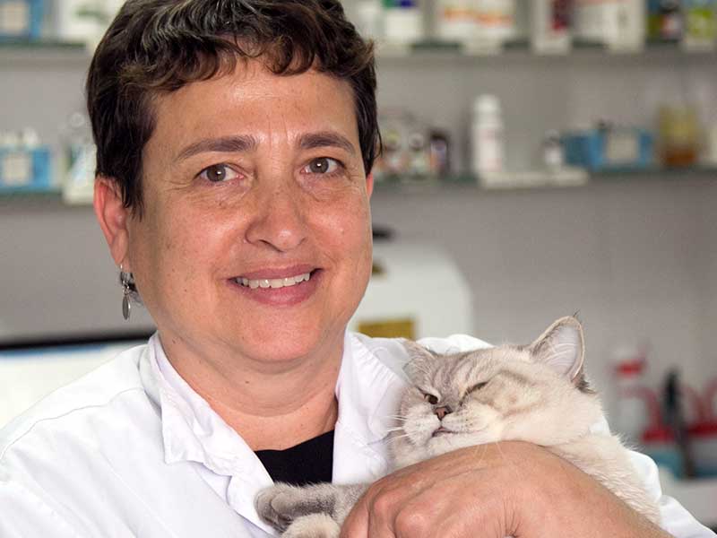 ד"ר טלי הרפז