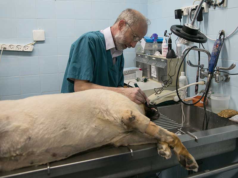 ניתוח שיניים