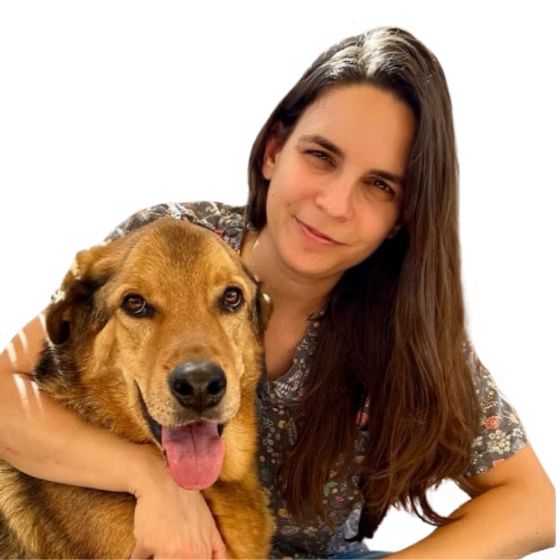 ד"ר עדי שפירא