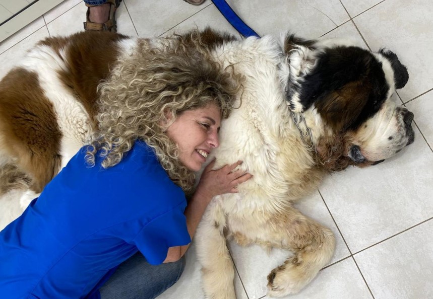 ד"ר ג'ודי פרמט