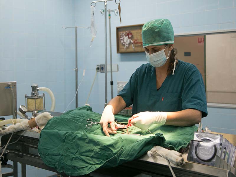 ניתוח רקמות רכות