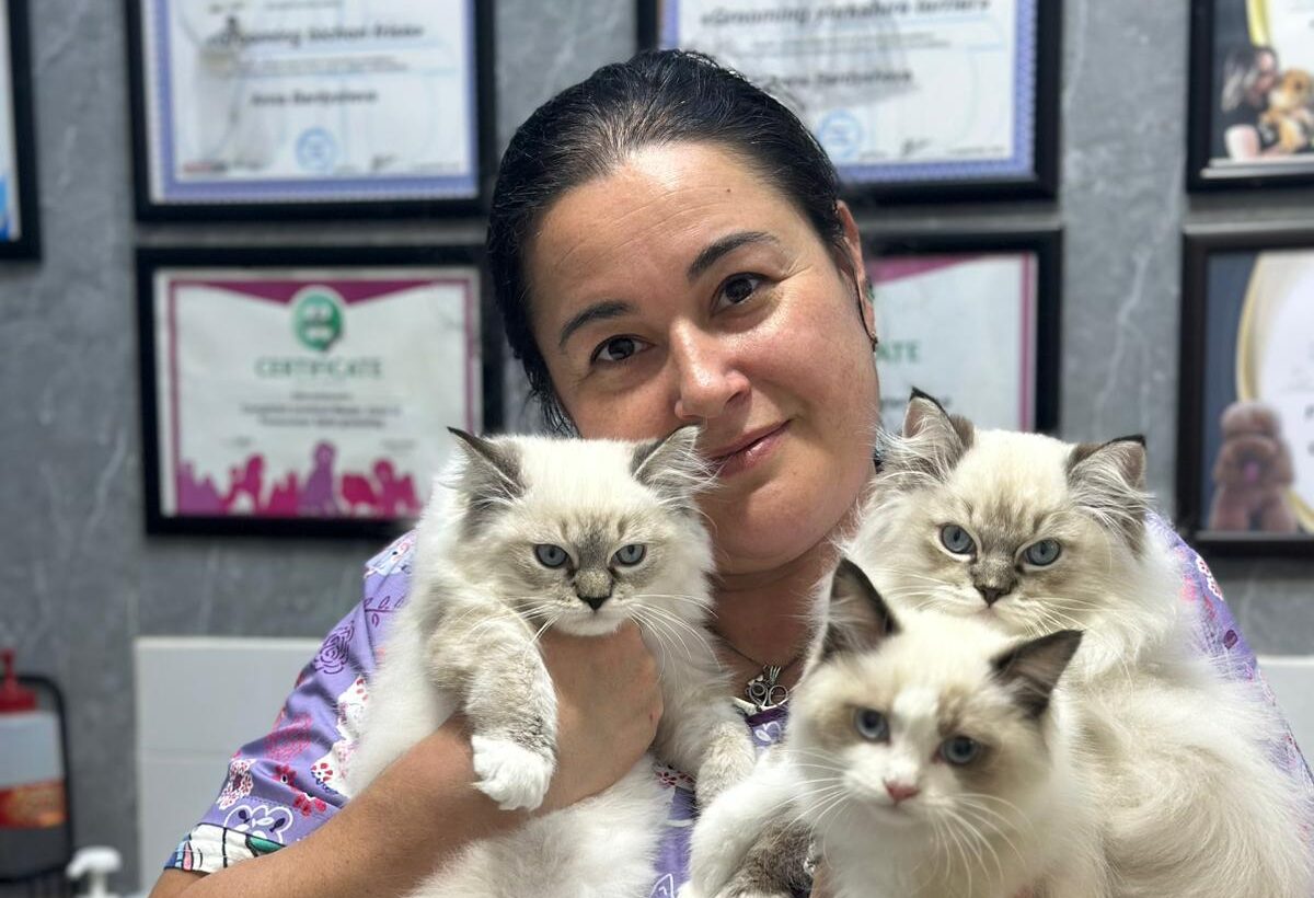 מספרת כלבים