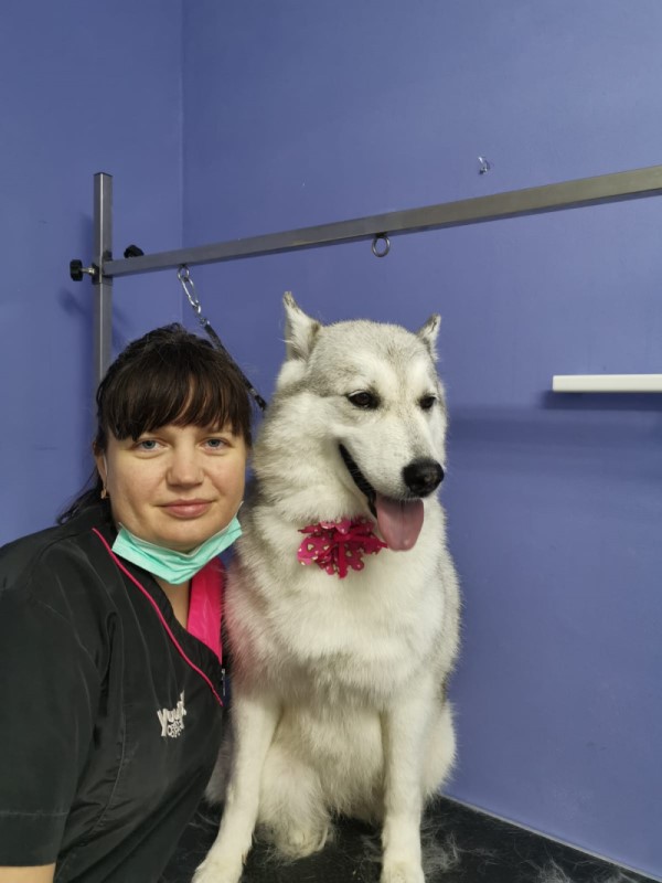 שירותי המספרה