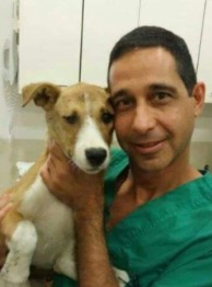 ד"ר רותם יוסף