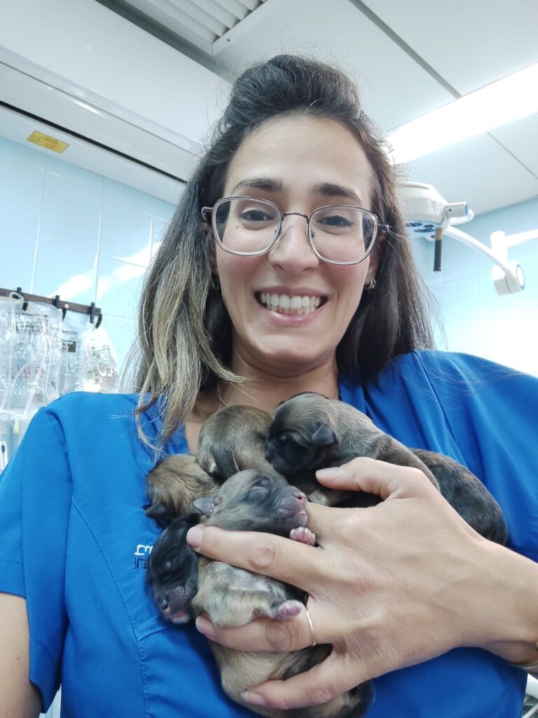 דניאל גרוס קריאף - אחות וטרינרית